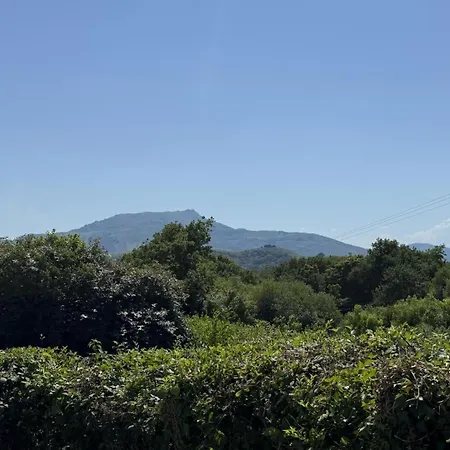 Casa vacanze Orgabidea *